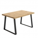 INDUSTRIËLE STIJL EETTAFEL WANDY