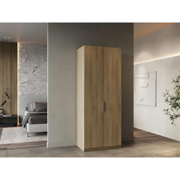 ARMARIO DE 2 PUERTAS LOUIS